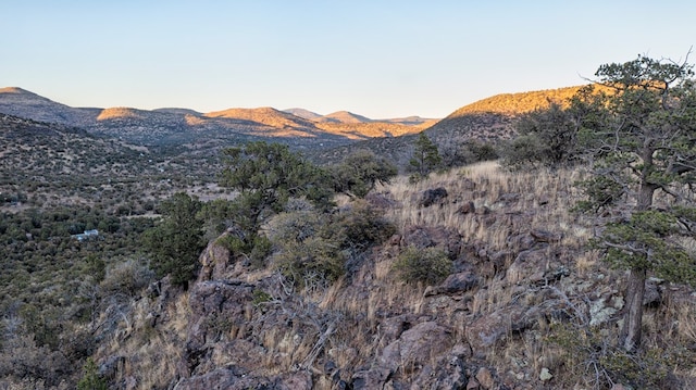 106 Whiskey Run Run, Fort Davis, TX 79734