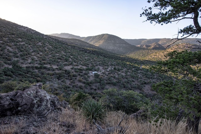 106 Whiskey Run Run, Fort Davis, TX 79734