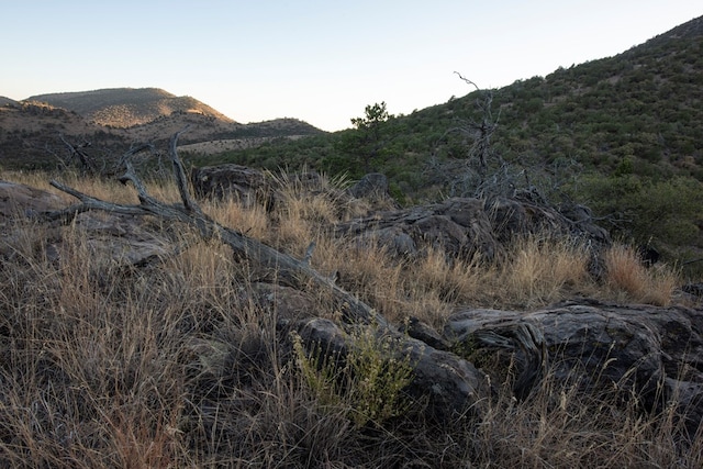 106 Whiskey Run Run, Fort Davis, TX 79734