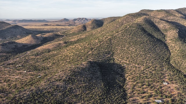 106 Whiskey Run Run, Fort Davis, TX 79734