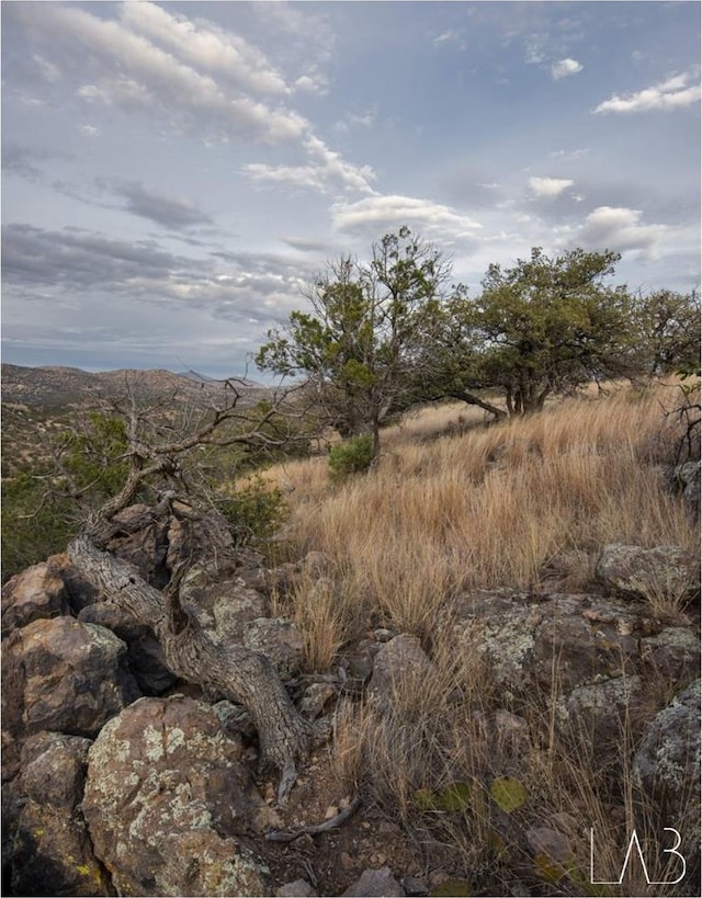 106 Whiskey Run Run, Fort Davis, TX 79734
