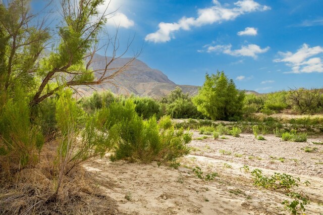 100 Medina Rd, Terlingua, TX 79852 - photo 13