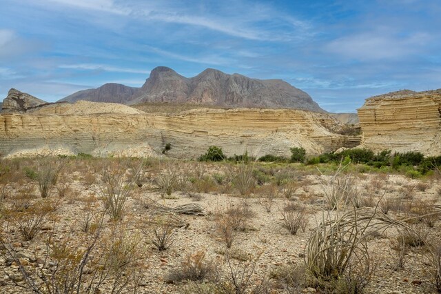 100 Medina Rd, Terlingua, TX 79852 - photo 9