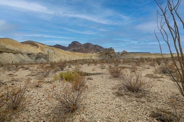 100 Medina Rd, Terlingua, TX 79852 - photo 3