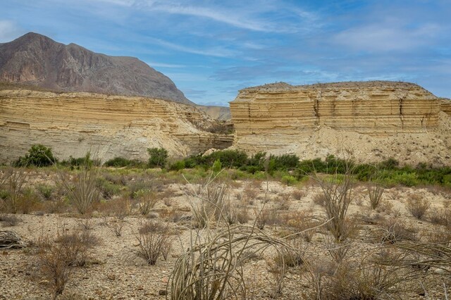 100 Medina Rd, Terlingua, TX 79852 - photo 8