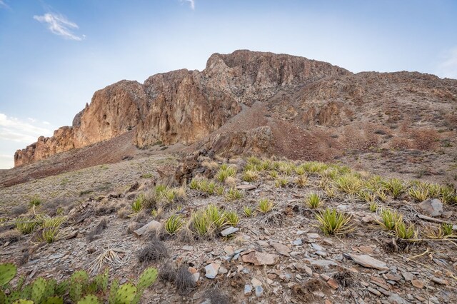 100 Medina Rd, Terlingua, TX 79852 - photo 18