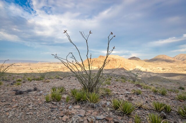 100 Medina Rd, Terlingua, TX 79852 - photo 17