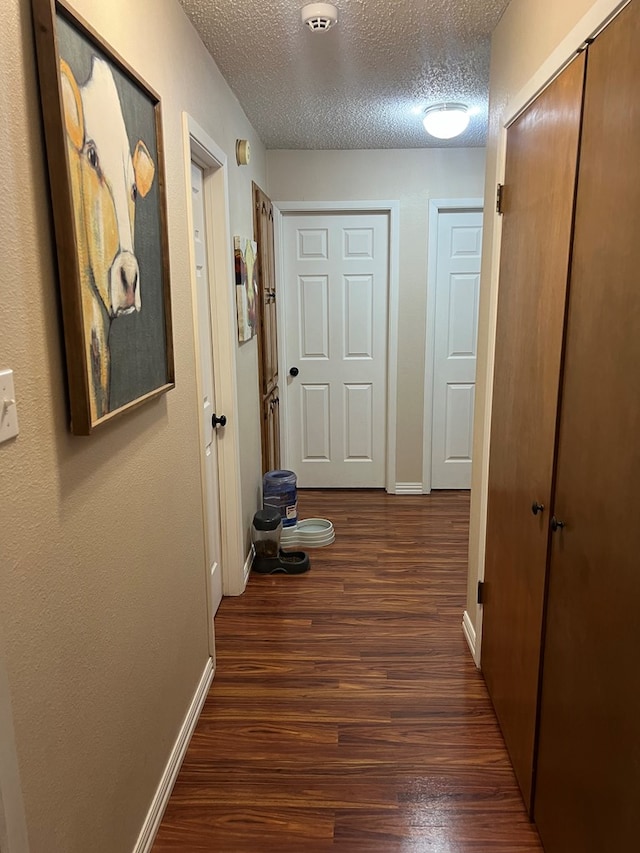 108 Horsehead, Crane, TX 79731 - hall with dark wood-style floors and a textured ceiling