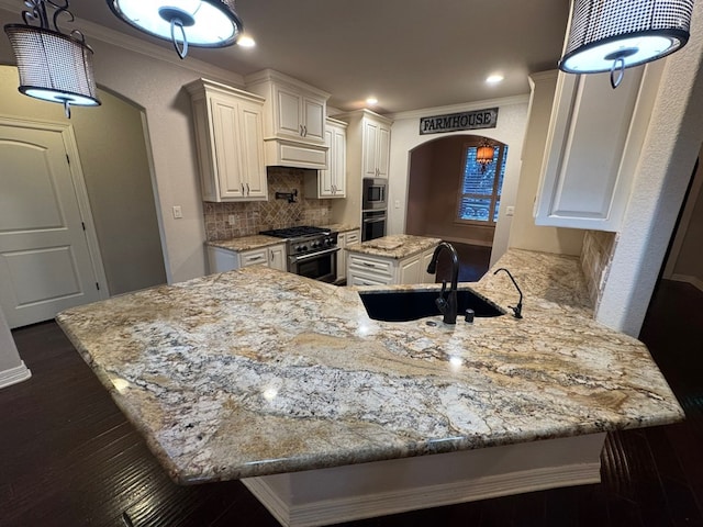 1205 Silverton Dr, Midland, TX 79705 - kitchen featuring stainless steel appliances, ornamental molding, light stone countertops, dark wood-style floors, and backsplash