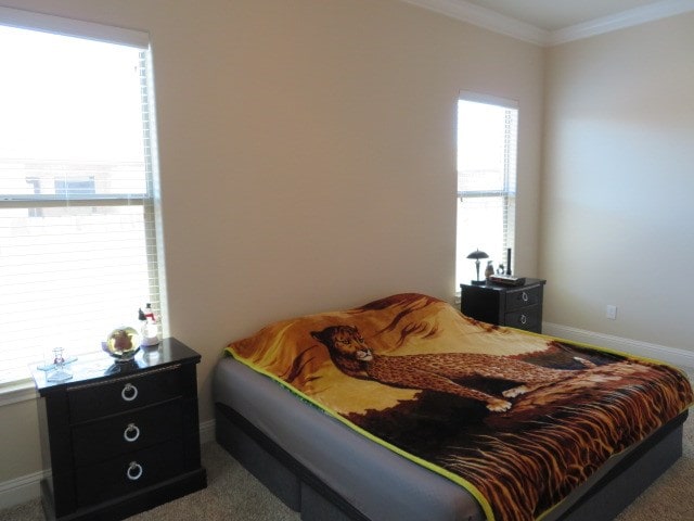 1812 Masquerade Blvd, Odessa, TX 79765 - bedroom with carpet flooring, ornamental molding, and baseboards