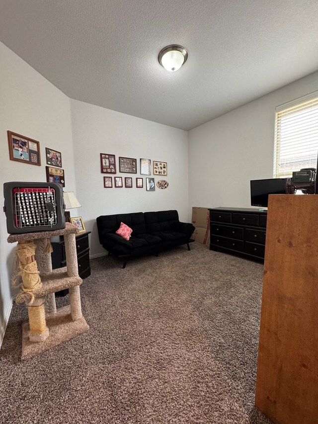 7018 Kate Reed Dr, Odessa, TX 79765 - photo 10