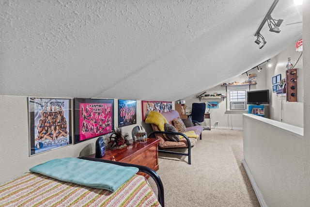 1324 Pagewood Ave, Odessa, TX 79761 - bedroom featuring a textured ceiling, a textured wall, track lighting, vaulted ceiling, and carpet flooring