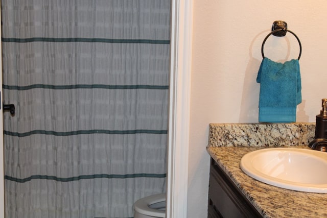 full bathroom featuring vanity, toilet, and a shower with curtain