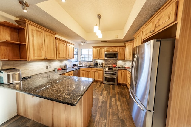 4001 Dyer Cir, Midland, TX 79707 - kitchen featuring appliances with stainless steel finishes, a peninsula, a tray ceiling, a sink, and dark wood-style flooring