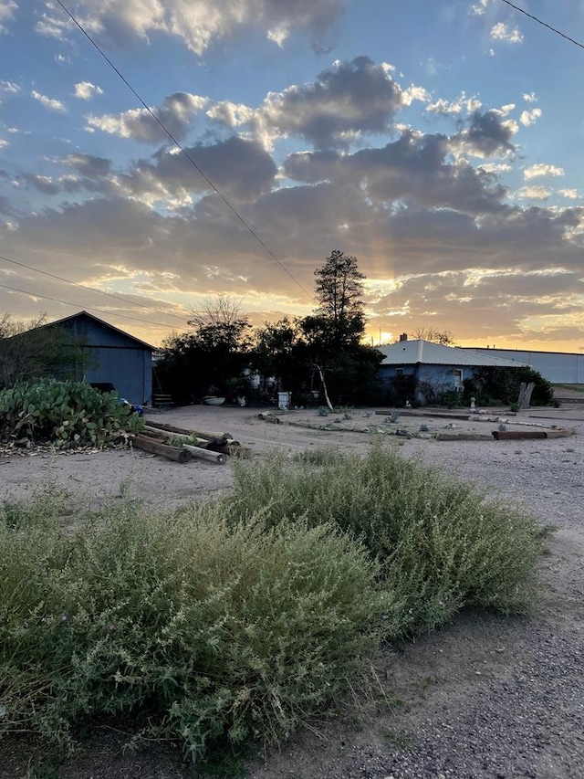700 W Dallas St, Marfa, TX 79843 - view of yard