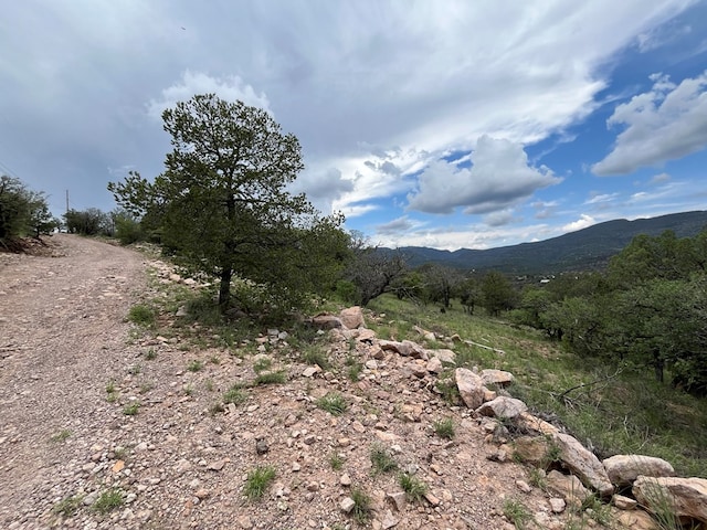 102 Apache Mountain Trl, Fort Davis, TX 79734 - photo 2