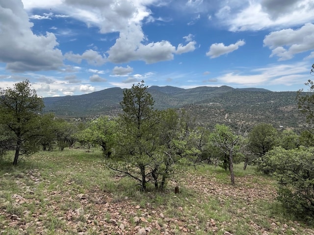 102 Apache Mountain Trl, Fort Davis, TX 79734 - photo 13