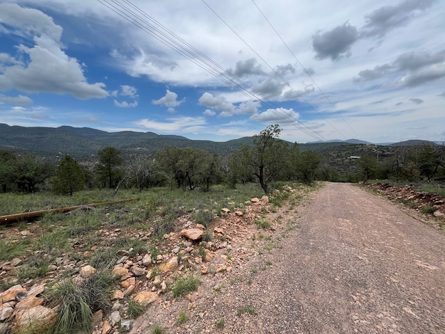 102 Apache Mountain Trl, Fort Davis, TX 79734 - photo 5