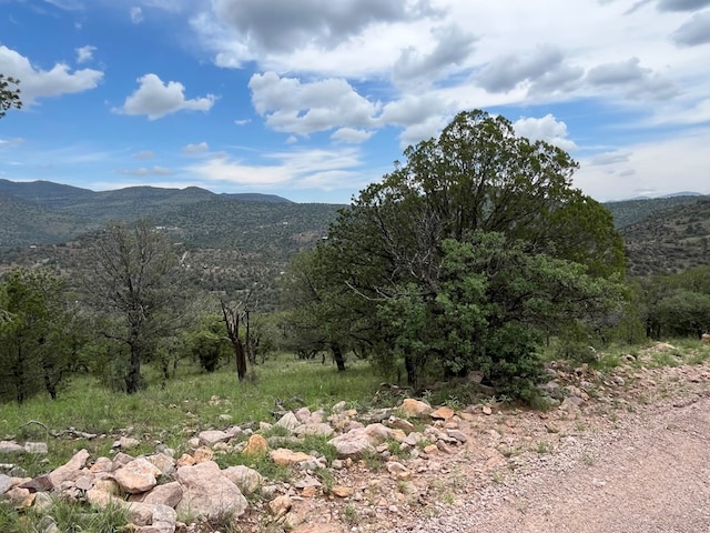 102 Apache Mountain Trl, Fort Davis, TX 79734 - photo 15