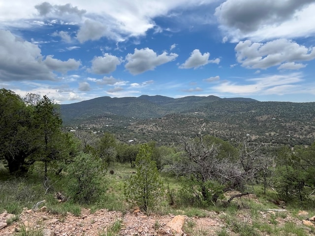 102 Apache Mountain Trl, Fort Davis, TX 79734 - photo 17