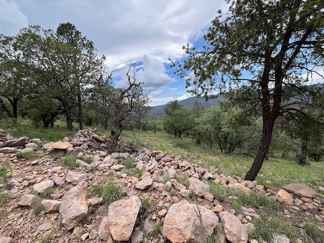 102 Apache Mountain Trl, Fort Davis, TX 79734 - photo 4