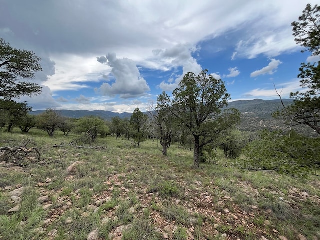 102 Apache Mountain Trl, Fort Davis, TX 79734 - photo 9