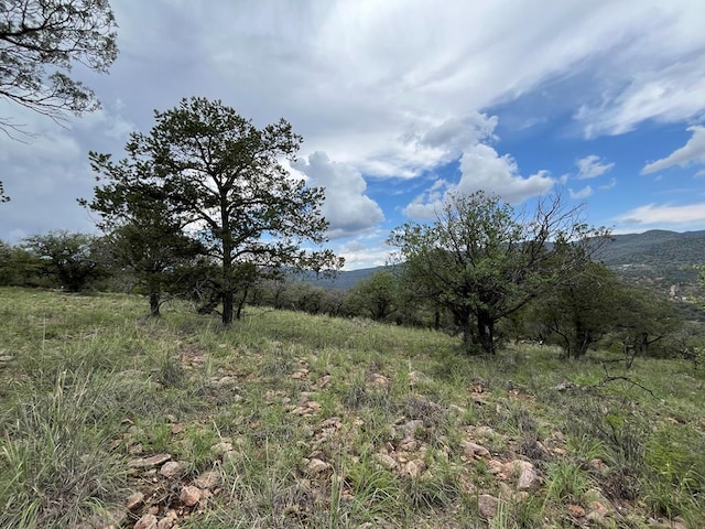 102 Apache Mountain Trl, Fort Davis, TX 79734 - photo 1