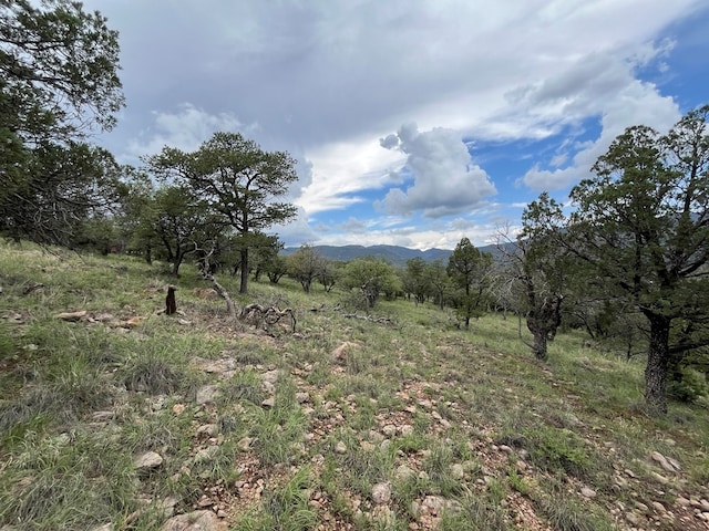 102 Apache Mountain Trl, Fort Davis, TX 79734 - photo 8