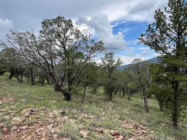 102 Apache Mountain Trl, Fort Davis, TX 79734 - photo 12