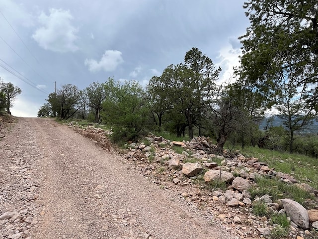 102 Apache Mountain Trl, Fort Davis, TX 79734 - photo 16