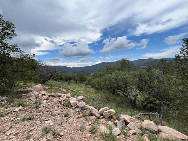 102 Apache Mountain Trl, Fort Davis, TX 79734 - photo 3