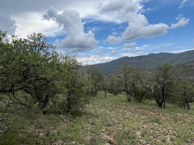 102 Apache Mountain Trl, Fort Davis, TX 79734 - photo 11
