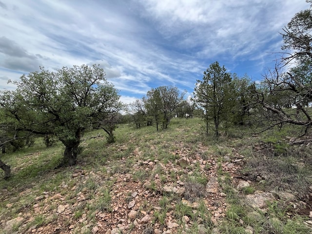 102 Apache Mountain Trl, Fort Davis, TX 79734 - photo 10
