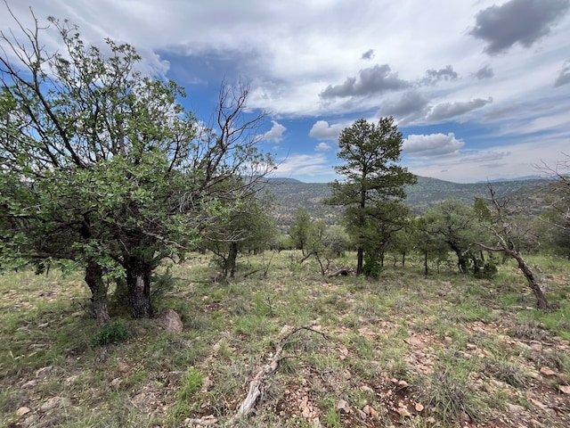 102 Apache Mountain Trl, Fort Davis, TX 79734 - photo 7