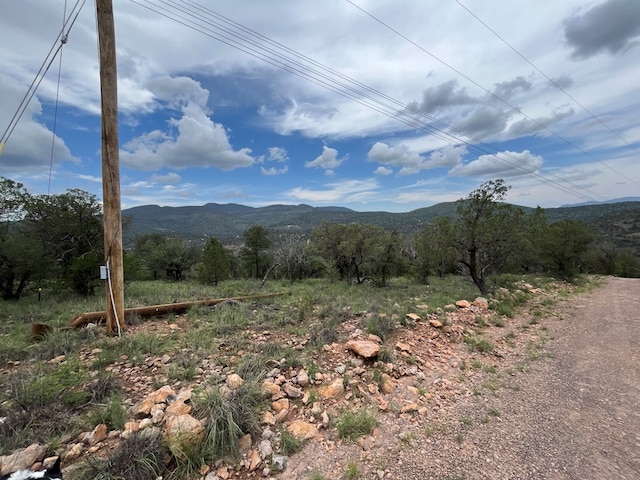 102 Apache Mountain Trl, Fort Davis, TX 79734 - photo 6