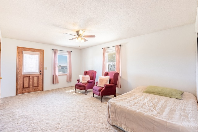 313 County Rd 306, Seminole, TX 79360 - photo 25