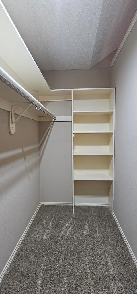 2304 Regal Pl, Midland, TX 79707 - spacious closet with carpet