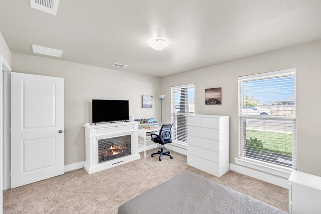 office featuring carpet flooring, visible vents, and baseboards