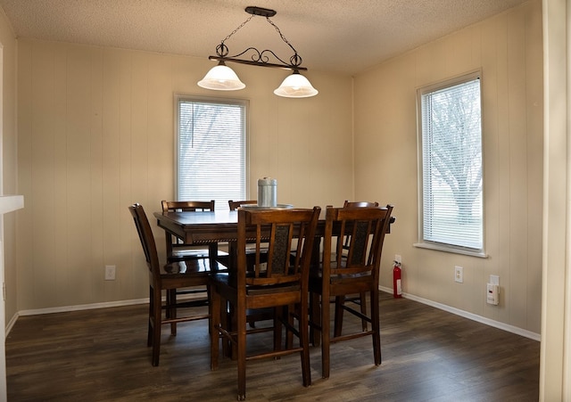 302 County Rd 409, Seminole, TX 79714 - dining area featuring dark wood-style flooring, a textured ceiling, and baseboards