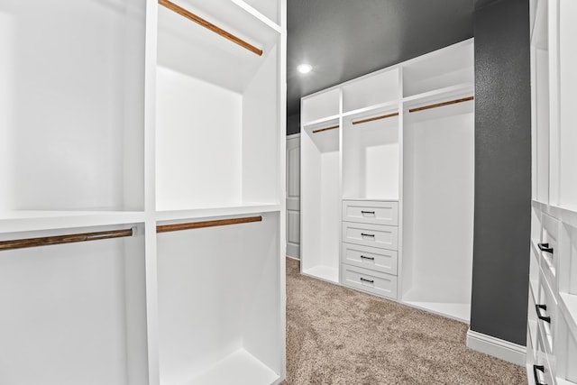 8919 Red Cliff Ave, Odessa, TX 79765 - walk in closet with light colored carpet