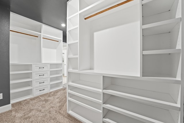 8919 Red Cliff Ave, Odessa, TX 79765 - spacious closet with light carpet