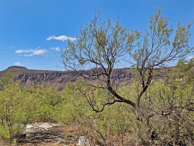403 Commerce St, Fort Davis, TX 79734 - property view of mountains