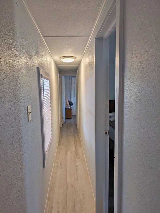 403 Commerce St, Fort Davis, TX 79734 - hall featuring a textured ceiling, light wood-style flooring, and a textured wall