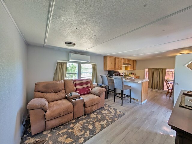 403 Commerce St, Fort Davis, TX 79734 - living area with light wood-style floors, a wall unit AC, and a textured ceiling