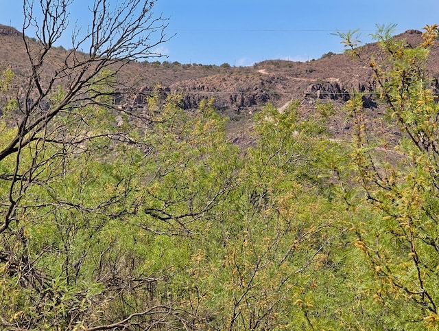 403 Commerce St, Fort Davis, TX 79734 - mountain view