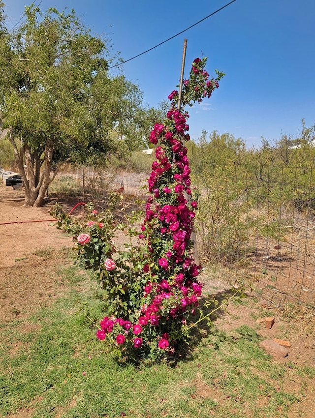 403 Commerce St, Fort Davis, TX 79734 - view of yard