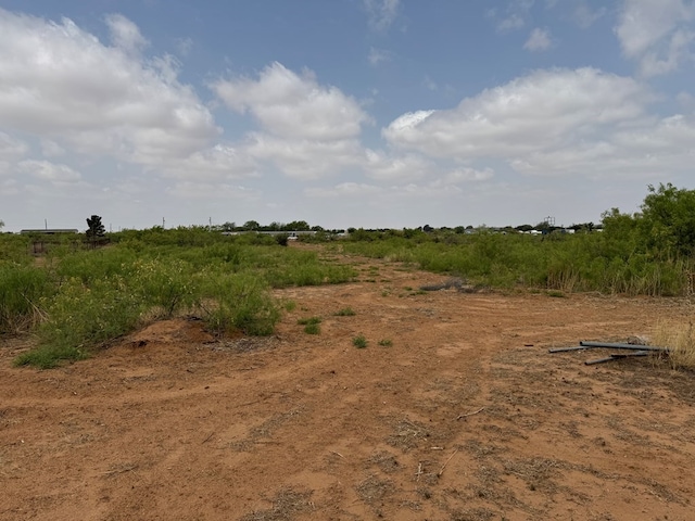 view of local wilderness featuring a rural view