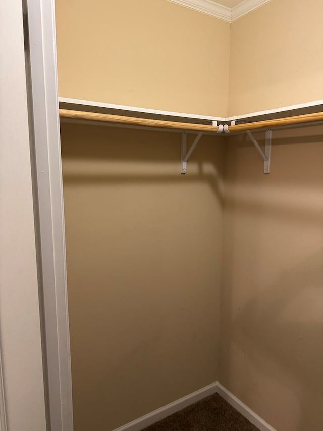 spacious closet with dark carpet