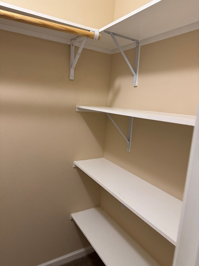 view of walk in closet