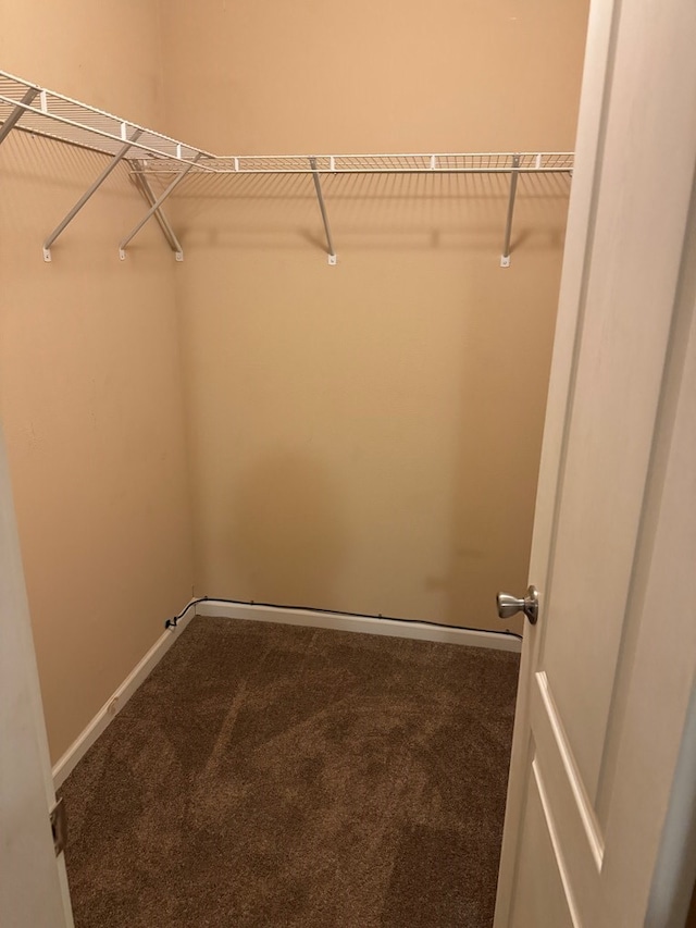 walk in closet featuring dark carpet